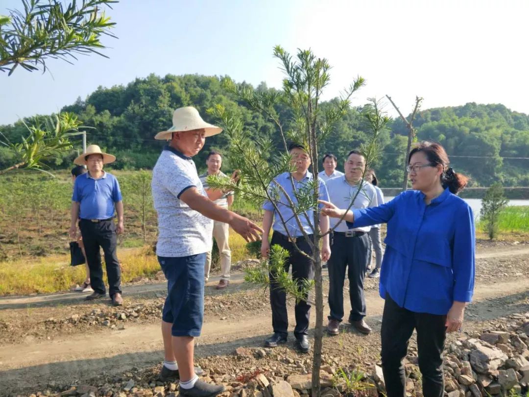 市委常委,县委书记赵少莲在漕河镇泉水坳村调研基层党