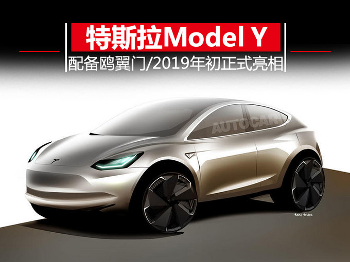 特斯拉model y配备鸥翼门 29万起售/明年亮相