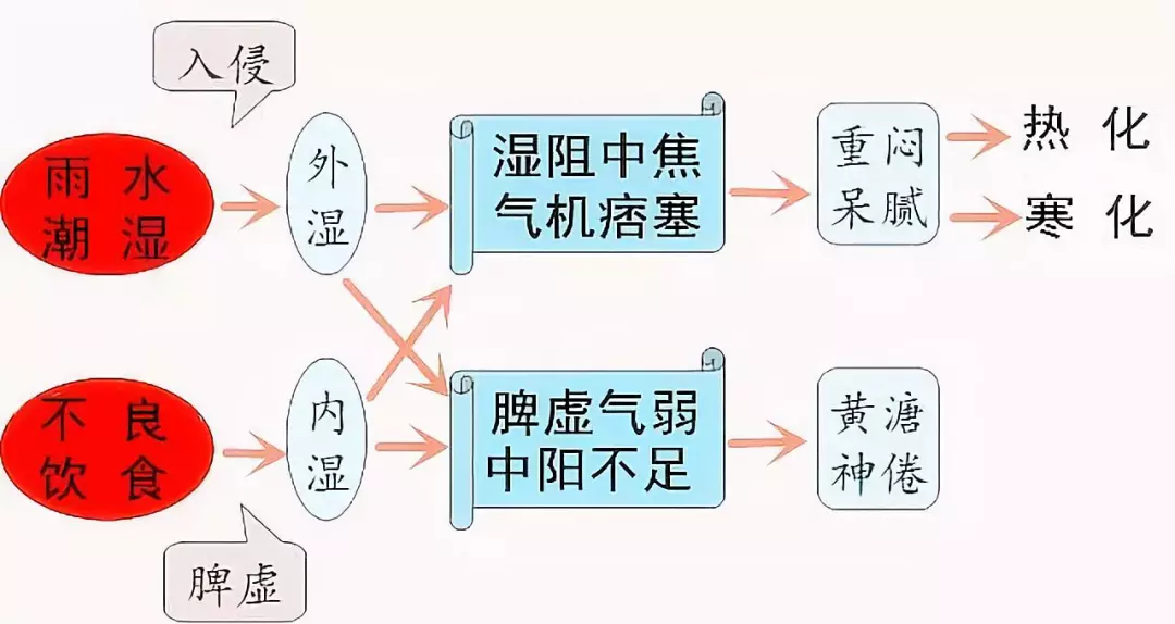 脾虚生湿气,湿气又会加重脾虚,内湿与外湿又互为因果,所以很多人都会