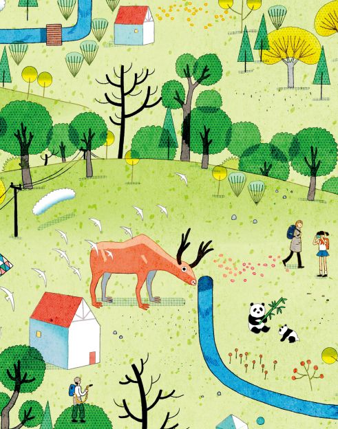 candybook ar助力阿里巴巴 慈善公益守卫我们的绿色家园 插画