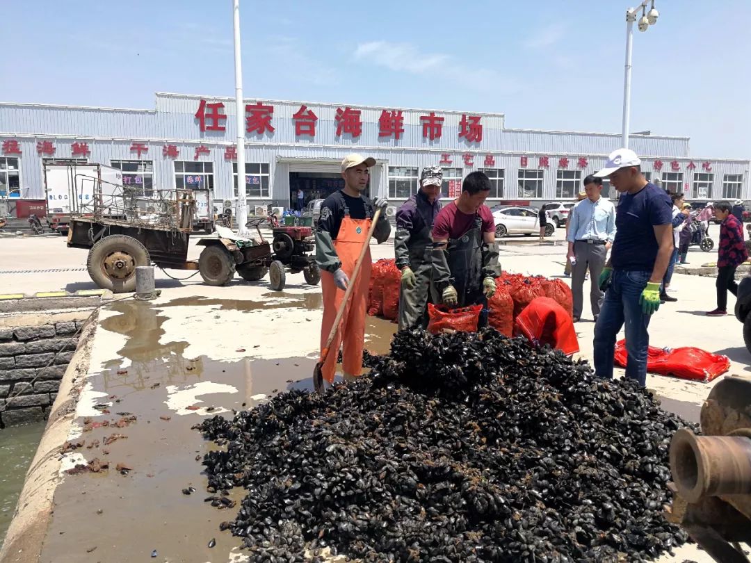 最近小编想吃海鲜,打听了一下,朋友介绍去了任家台海鲜市场.