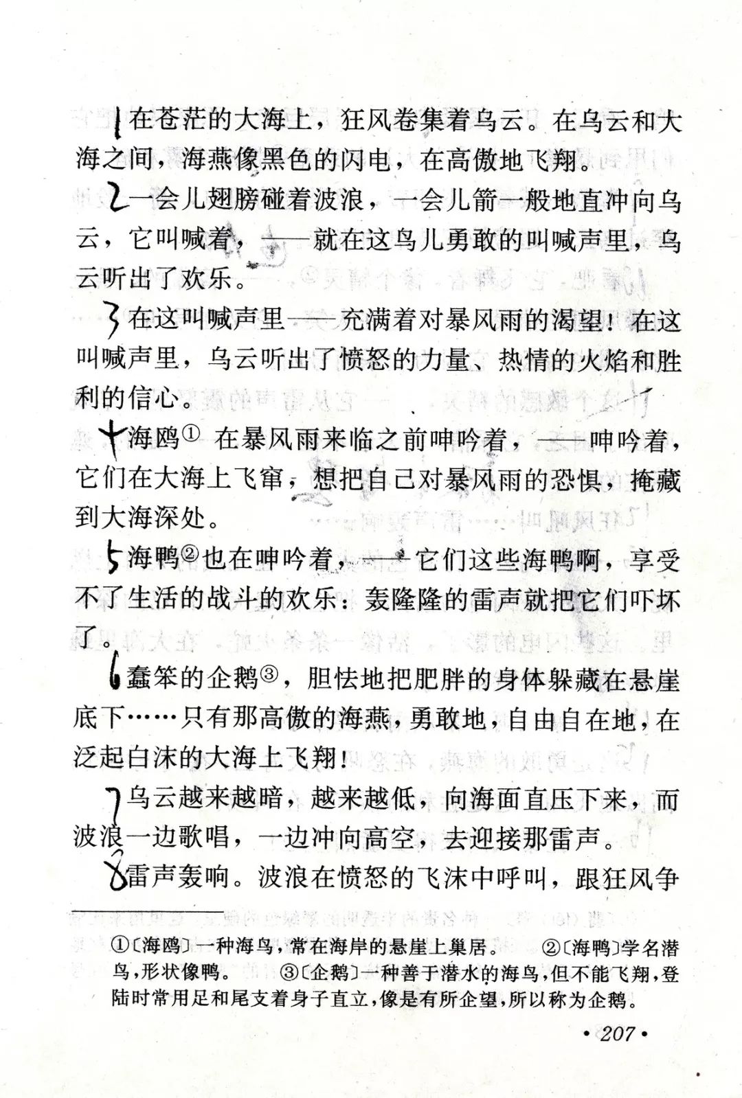 海燕丨那些年我们一起读过的课文