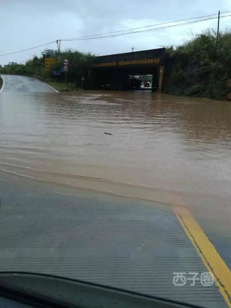 落雨大,水浸街!惠阳大亚湾这些地方都被泡了