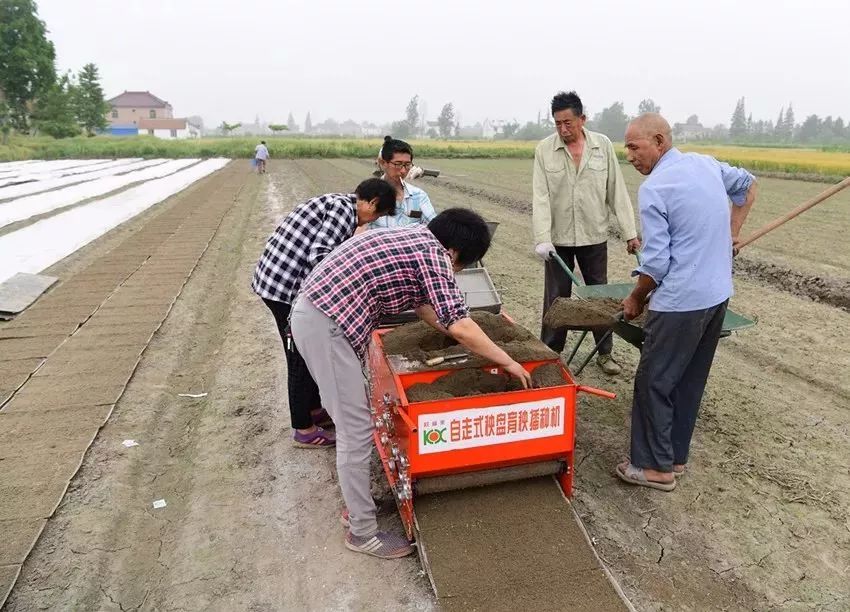 高科技啊!自走式秧盘育秧播种机,真是极大的提高了水稻育秧工作效率!
