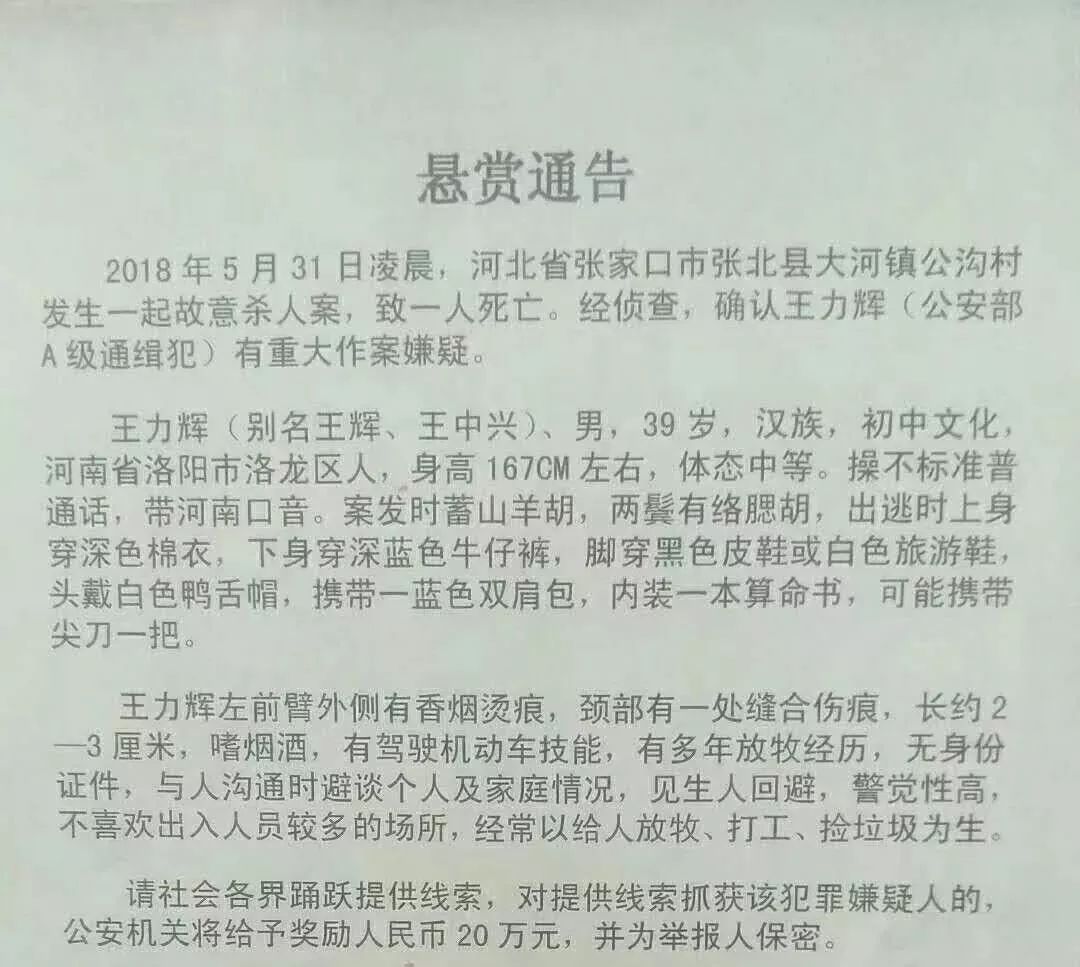 河南洛阳人口音_河南洛阳图片(2)