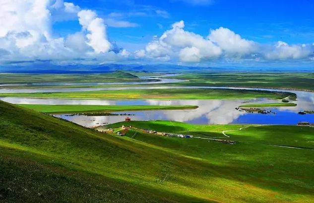 虽然现在并不是若尔盖的最佳旅游季,但却是观鸟最佳季节.