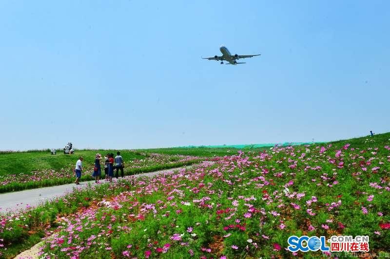 双流胜利人口_双流机场图片