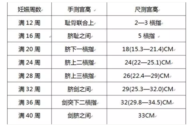 母婴 正文  1,子宫底高度(宫高) 量法:一般来说,从孕16周以后就可以