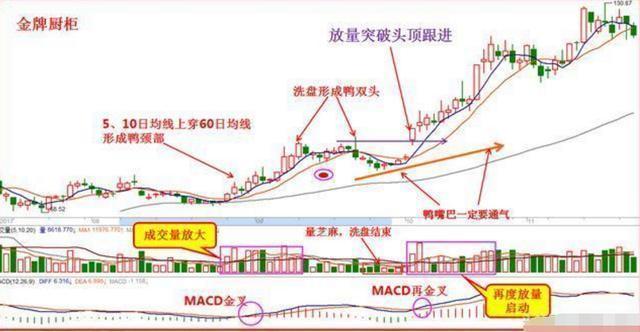 鸭溪镇经济总量排名_鸭溪镇图片