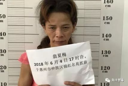 陆丰名45岁涉毒女逃犯落网!