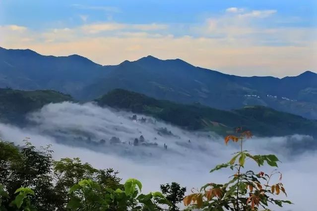 歙县坡山:雾里山庄,无限风光