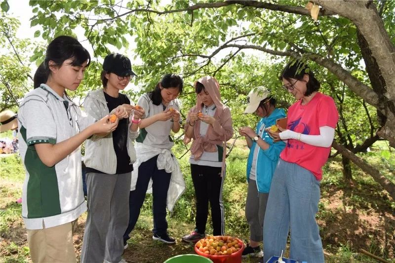 社会实践学农除杂草热火朝天访农户感触良多2018年高二年级社会实践之