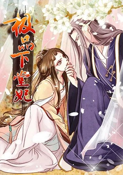 《极品下堂妃—漫神共创duang的一声穿越,中西医双料圣手凤羽珩分