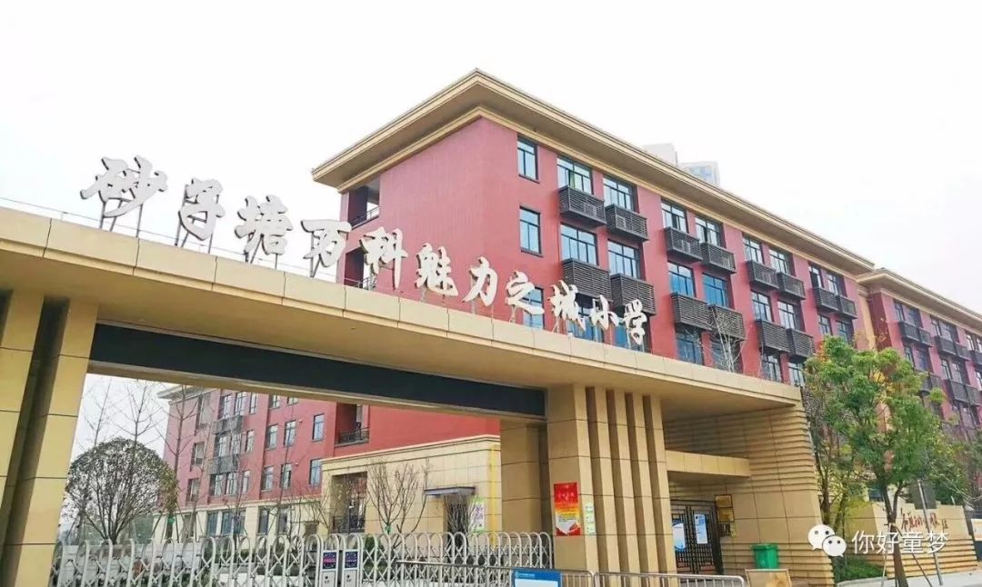 造梦计划砂子塘万科魅力之城小学海选专场全校参与现场火爆