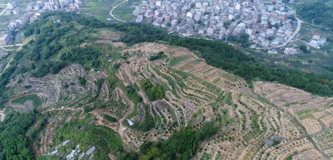 乐清大荆镇人口_乐清市大荆镇中庄村