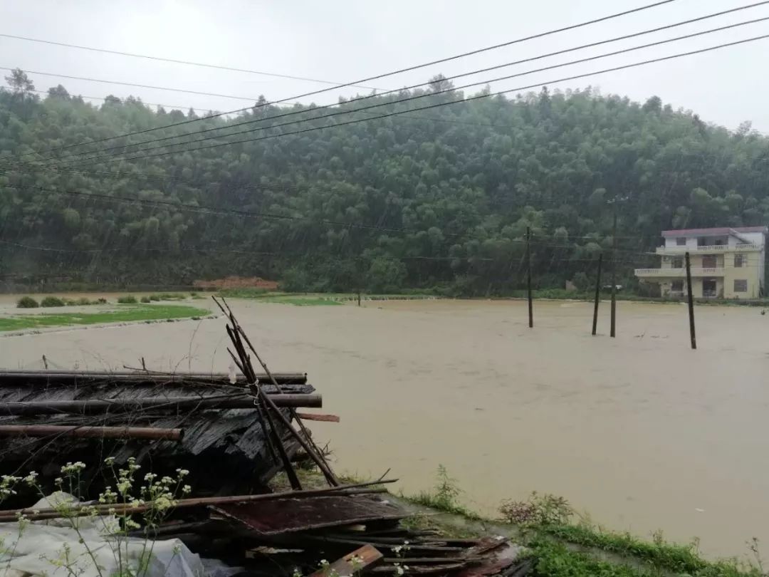 遂川连续降雨致多地险情水位暴涨路段塌方农作物受损严重