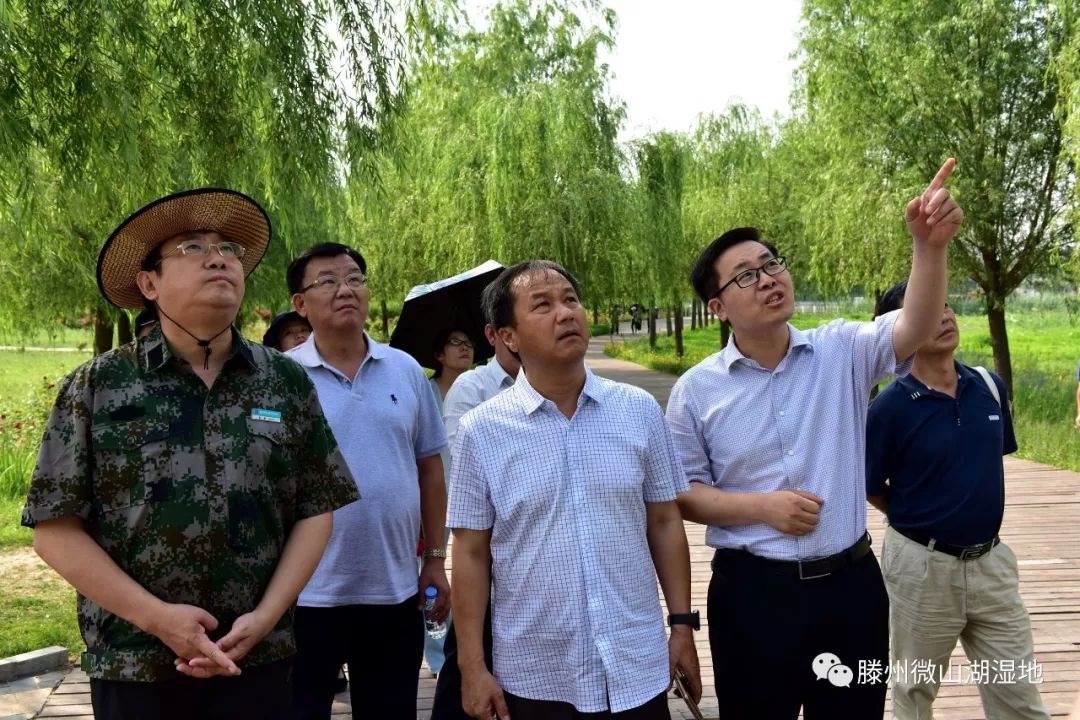 枣庄市旅服委副杜建民,滕州,刘涛,旅服局