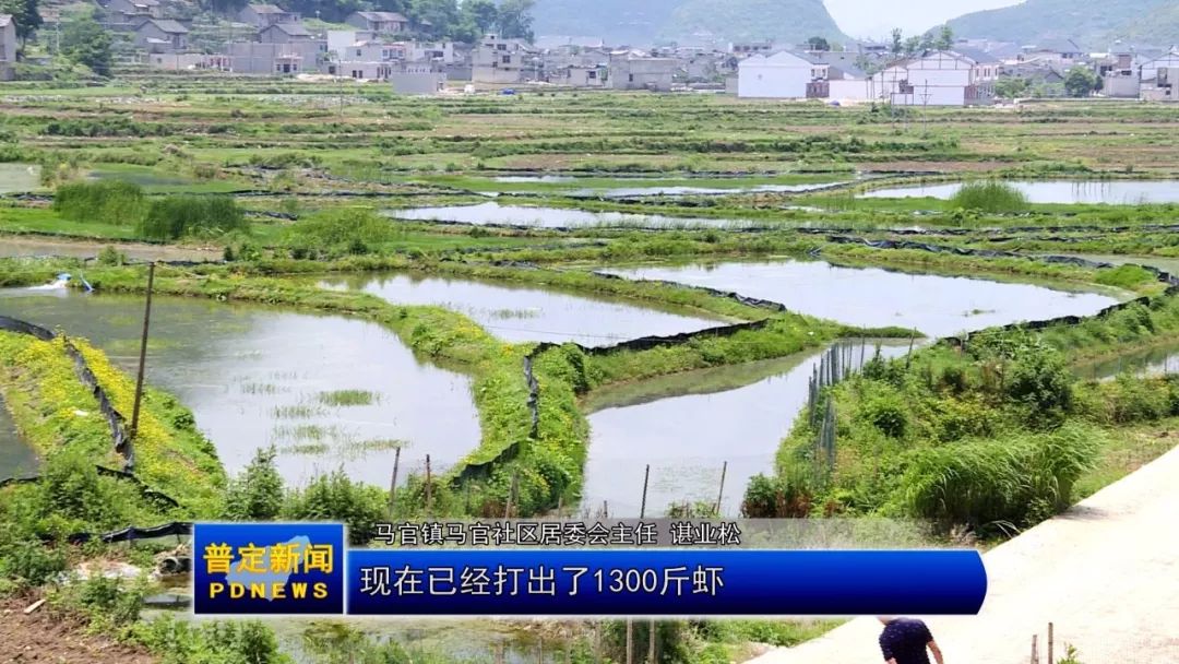 脱贫攻坚看普定马官镇小龙虾供不应求农户脱贫有信心