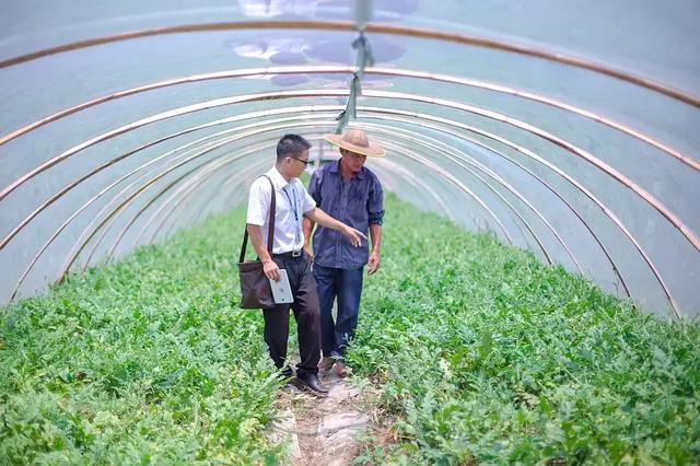 董治 范嘉:逐梦奋进三十载 砥砺前行铸辉煌