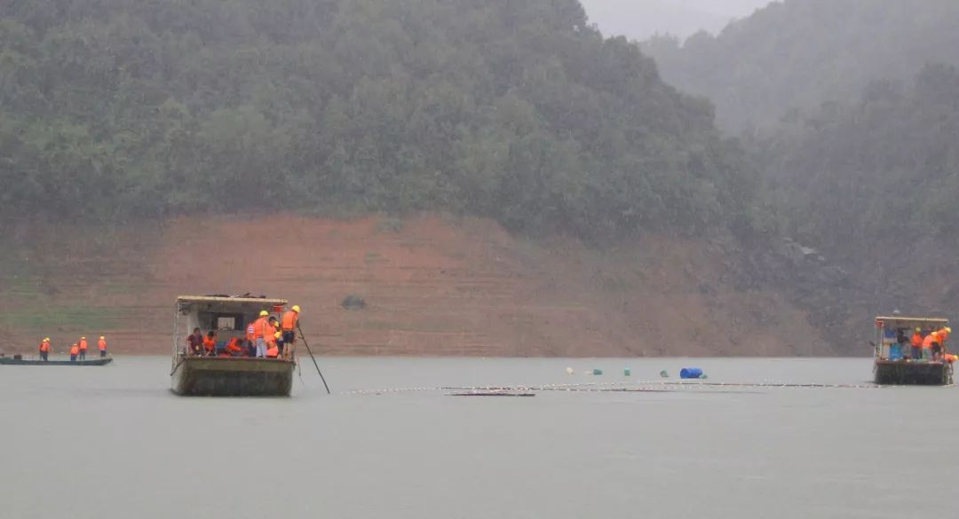 重拳出击!龙川依法强制拆除枫树坝库区非法养殖设施