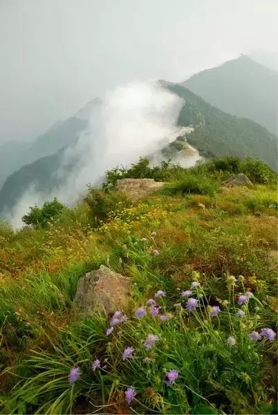 白草畔自然风景区