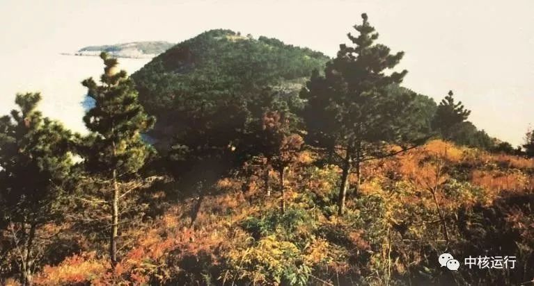 档案见证秦山核电三期风雨二十年