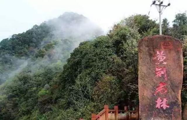 镇宁县的绝美风光与独特旅游景点，镇宁绝美风光与独特旅游景点探索