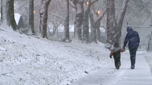 临湘人口数_临湘五尖山