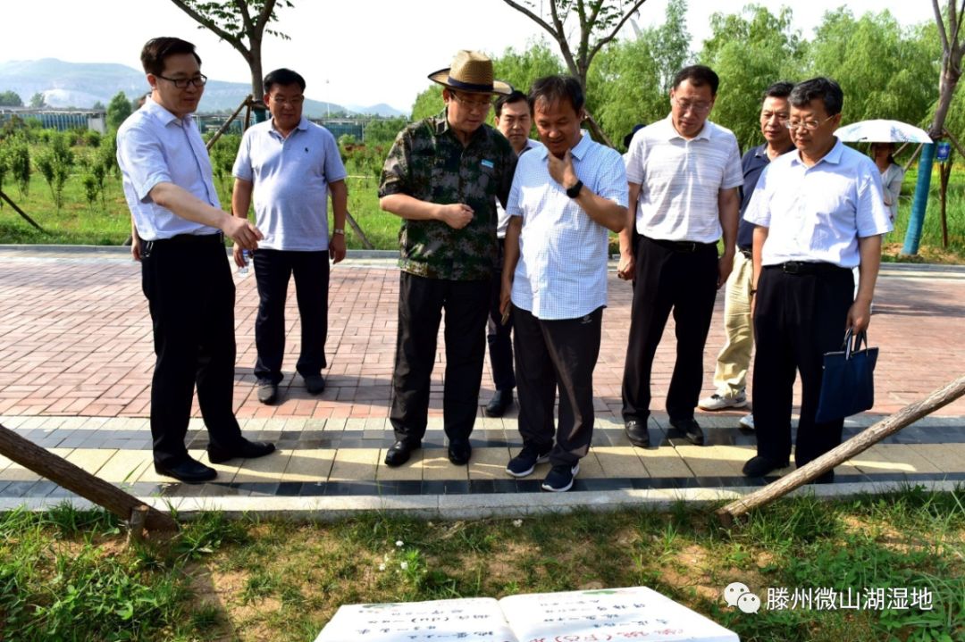 【滕州微山湖湿地】刘涛陪甘霖,张明池等到微山湖湿地公园考察