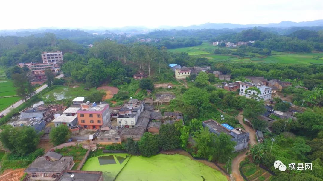 横县南乡这两个村因此而出名