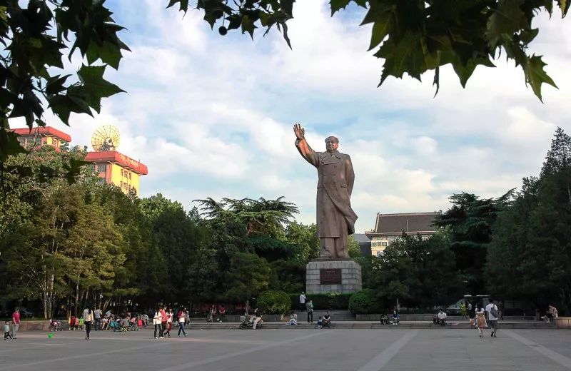 以下哪些树种存在于山东师范大学? a a  图中均为为千佛山校区绿植.