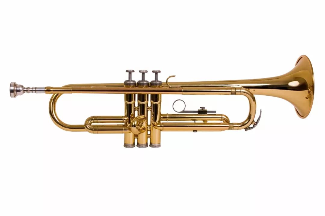 向铜管乐器和木管乐器里吹气就能产生声音.