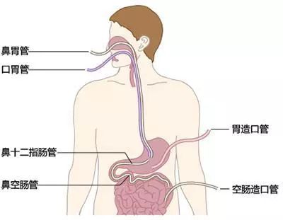 白毛女插曲全部歌曲谱