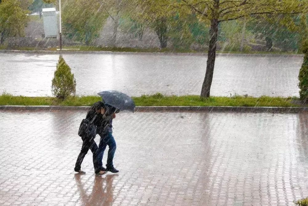 雨中送伞,让人感谢再三,但这毕竟是自然界的一场风雨,假如你的人生