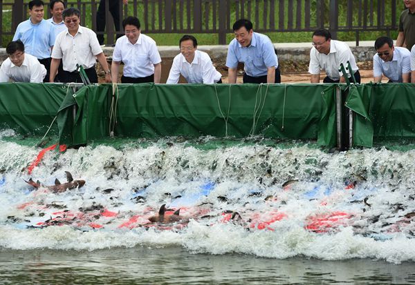 全国放鱼日,增殖各类水生生物苗种近50亿尾,举办增殖