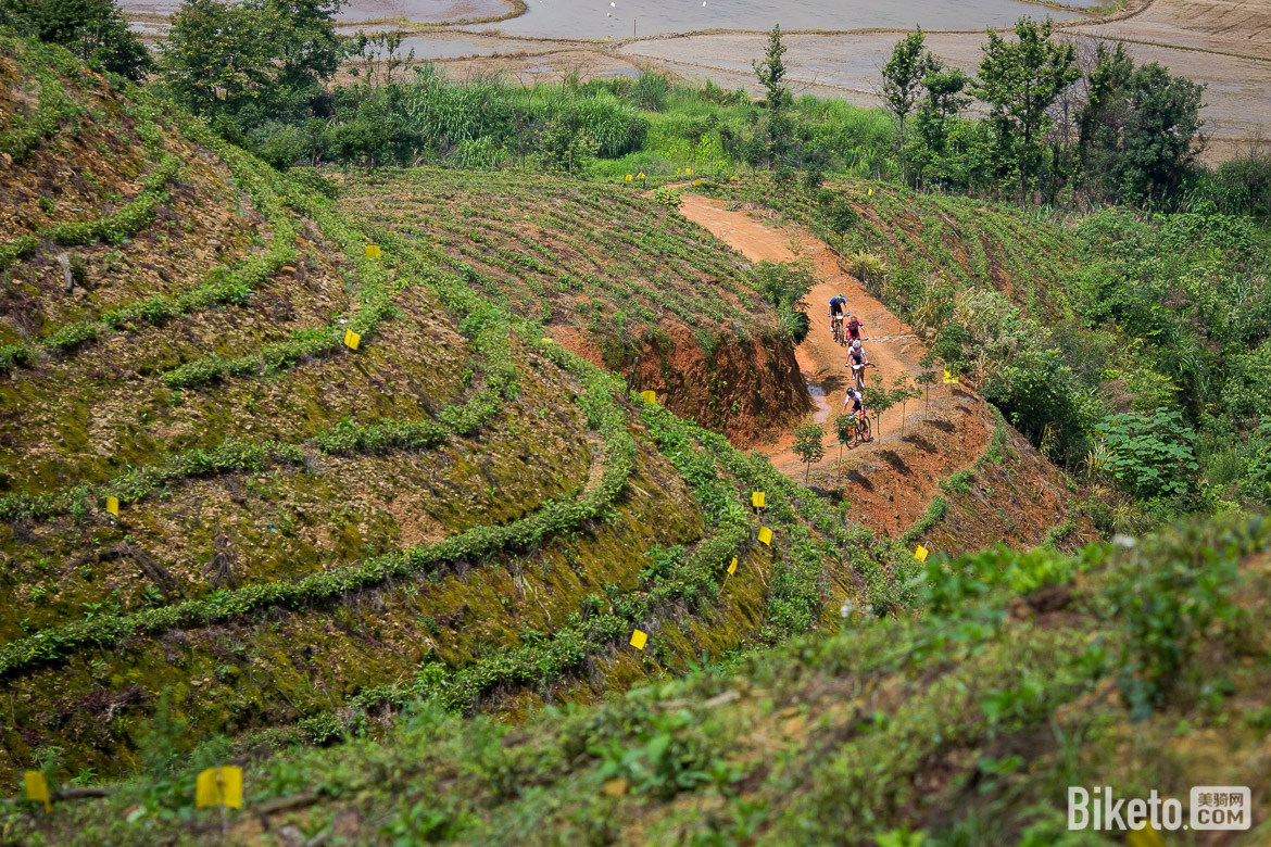 靖安“茶立方”国际山地车赛