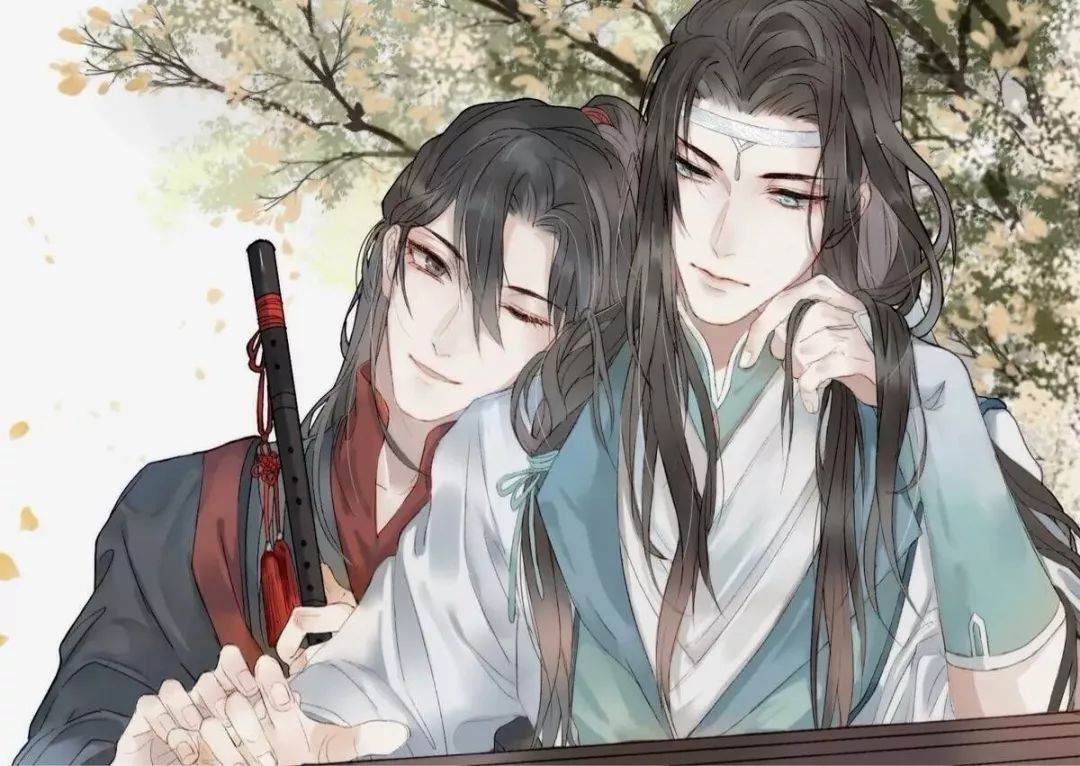 魔道祖师超污长文忘羡