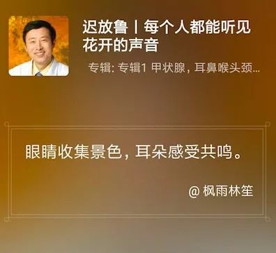 音短情长听迟放鲁每个人都能听见花开的声音