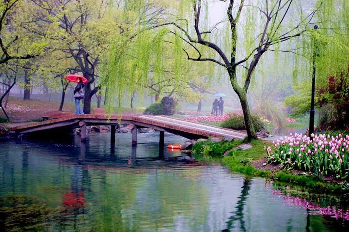 纯音乐丨《晨雨》微弱,我心飞扬