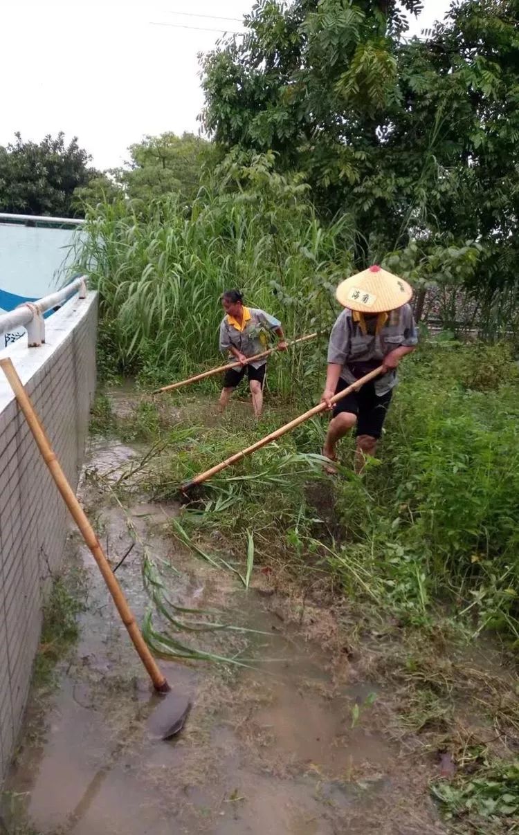 竹二村人口_人口普查