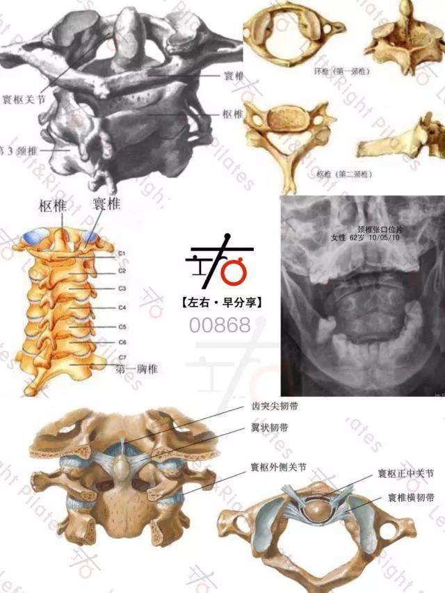 【左右·早分享】追求使人进步,分享使人快乐!