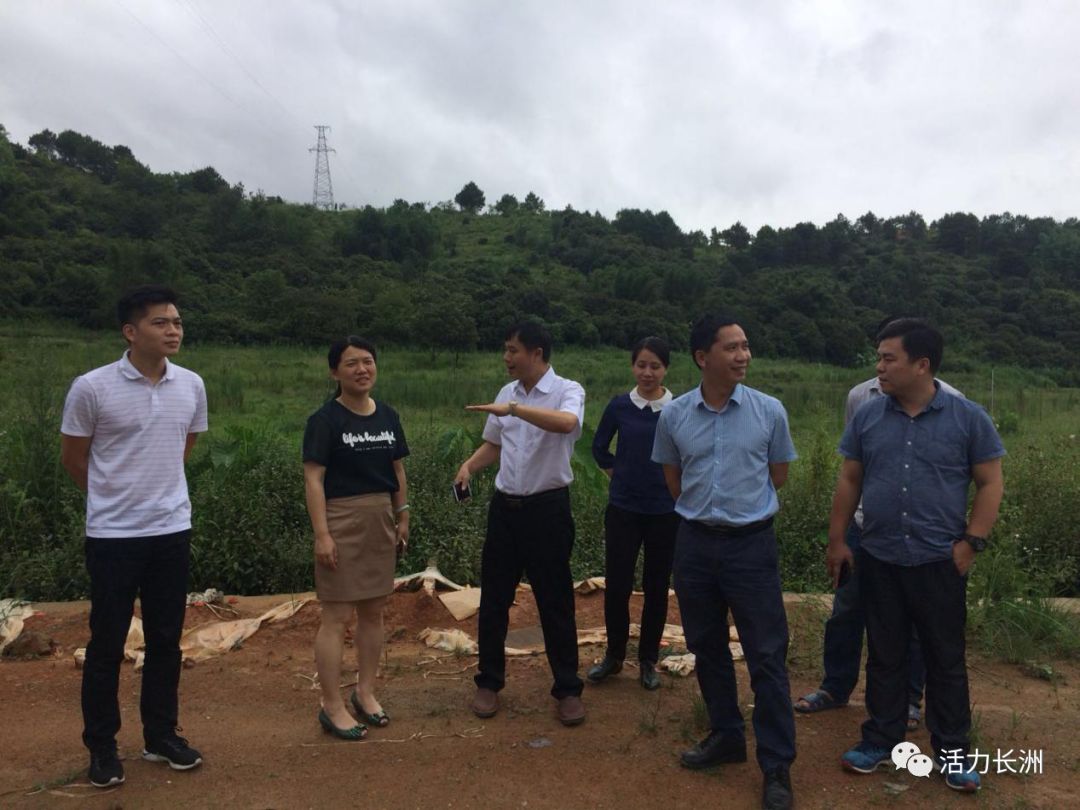 市旅发委主任罗剑调研龙华特色花卉苗木示范区