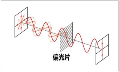 偏光片的作用是将全向光线变成单一方向的偏振光,偏振光方向与偏光片