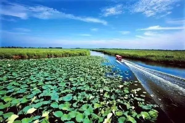 旅游 正文  白洋淀千里堤白洋淀千里堤地处淀东下游出口,辖白洋淀水域