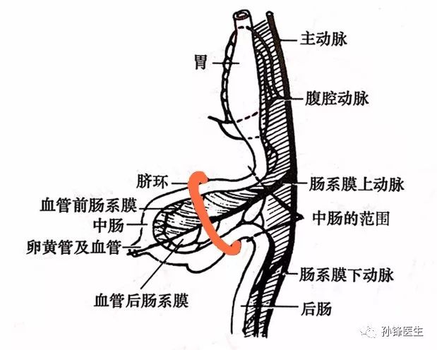 此时,能看出肠袢是属于能进能退的"主儿,此处不留爷,自有留爷处.