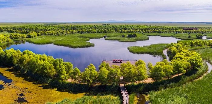 双鸭山多少人口_龙江高铁战严寒冲刺 哈佳牡高铁将通车 牡佳高铁施工加速 线