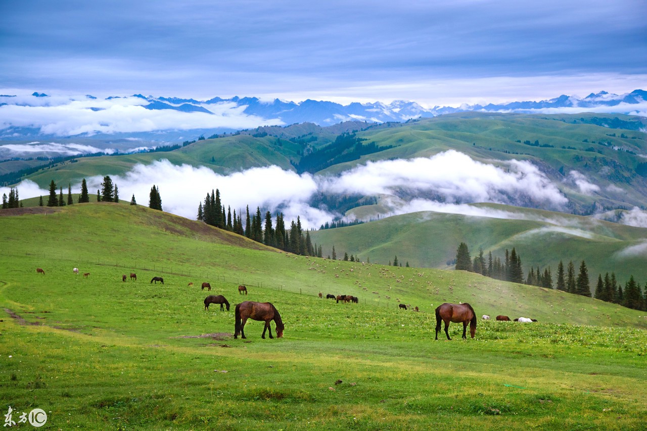 大美新疆风景照,每一张都可以拿来做壁纸