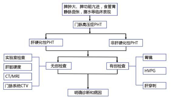 图1 门脉高压症诊断流程来源:陈世耀,黄晓铨,曾晓清.