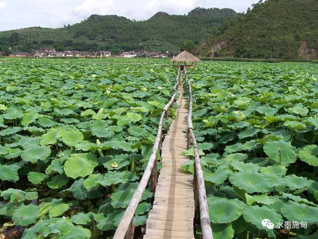 【施甸旅游】夏日施甸"哪凉快哪呆着去"