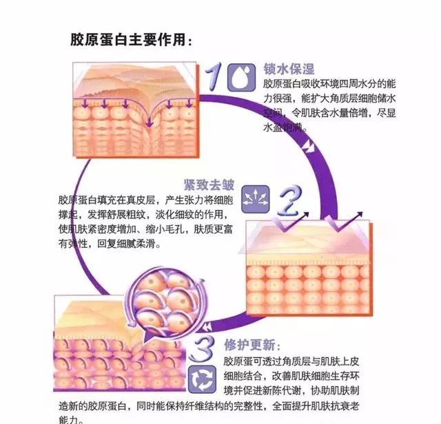 曼泷肽复合怎么样